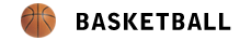 Magic Johnsons plays in a Basketball league